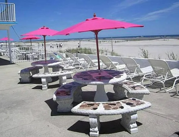 Apollo Motel hotel detail image 1