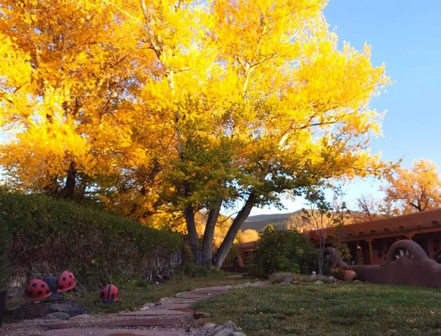 Inn on the Rio hotel detail image 2