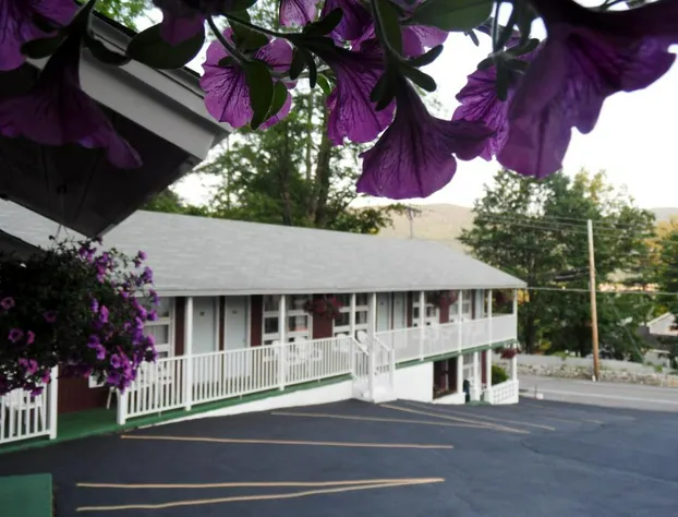 Pinebrook Motel hotel detail image 1