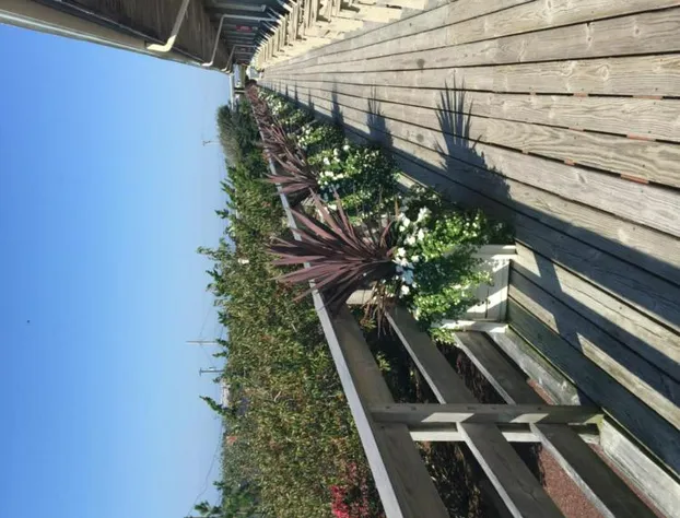 Ocean Vista Resort hotel detail image 3