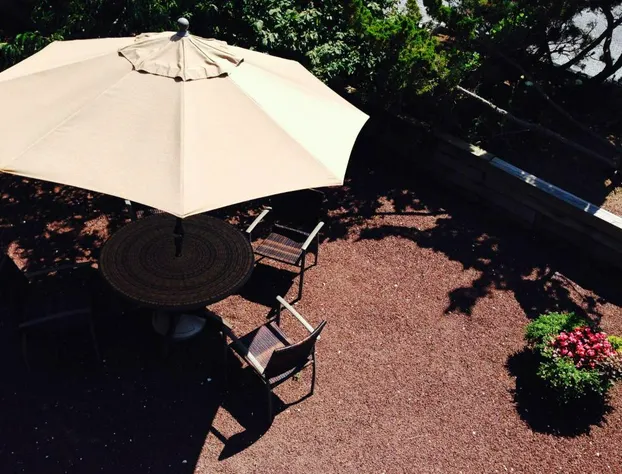 Ocean Vista Resort hotel detail image 1