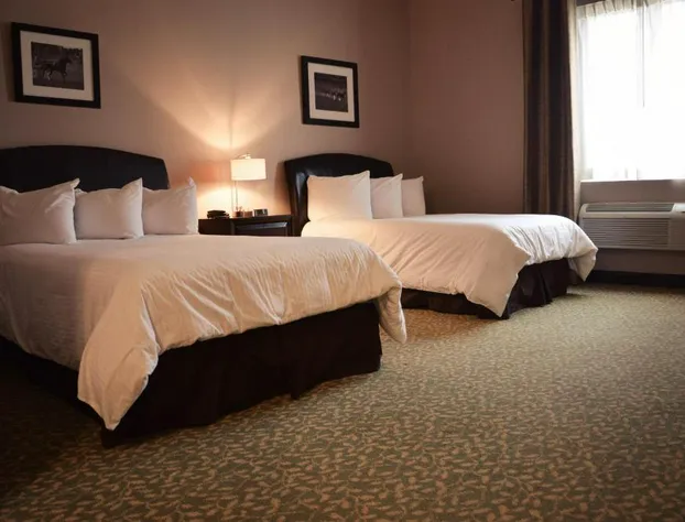 Belvedere Inn hotel detail image 4