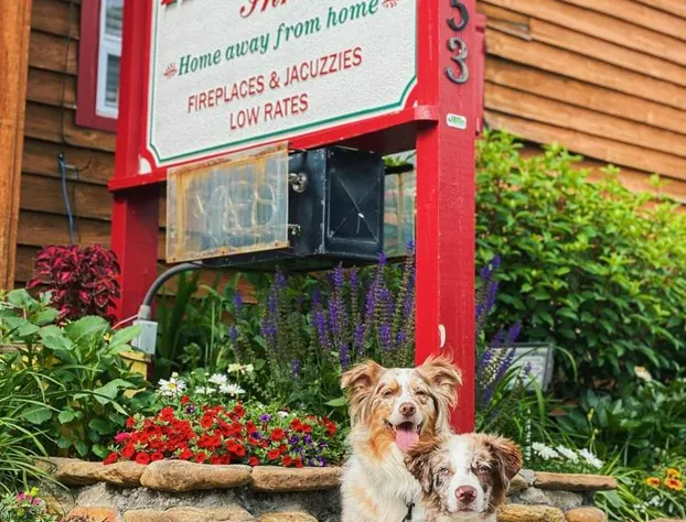 The Homestead Inn hotel detail image 3