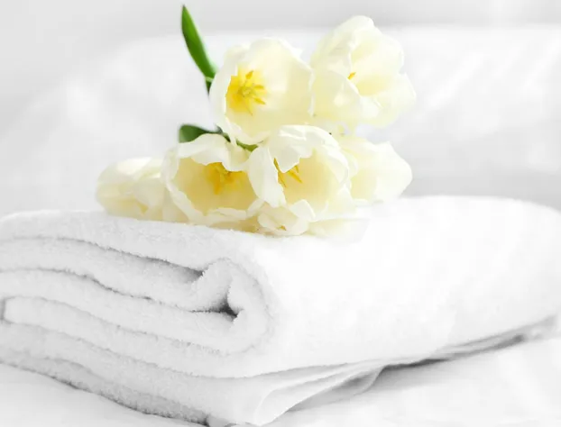 Trade Winds Inn Clinton hotel detail image 1