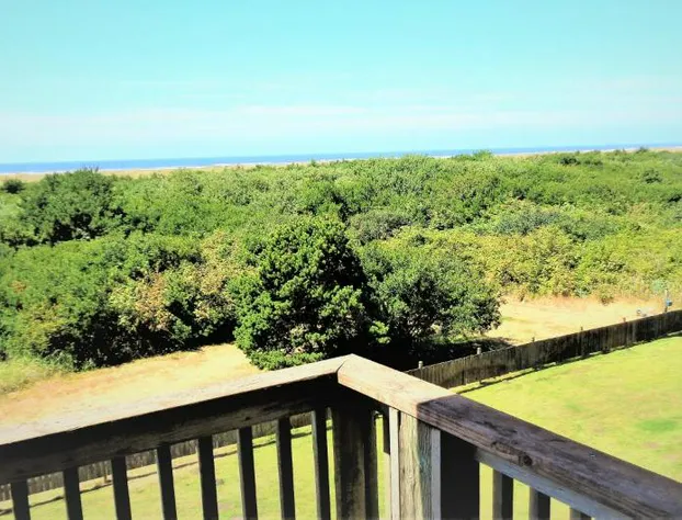 The Polynesian Resort hotel detail image 4