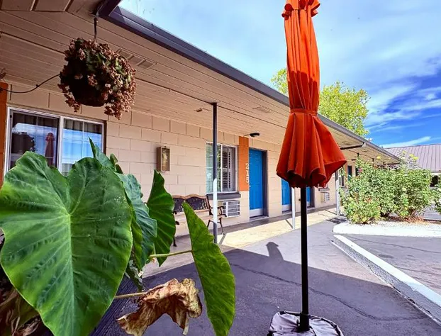The City Center Motel hotel detail image 3