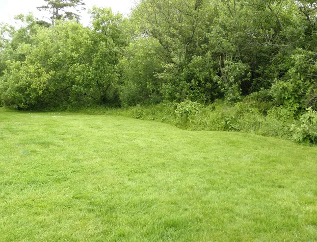 Sea Haven Motel & Guest House hotel detail image 4