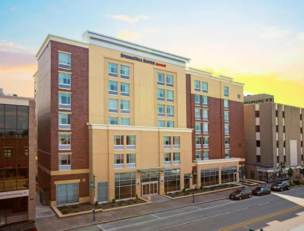 Springhill Suites by Marriott Pittsburgh Mt. Lebanon hotel detail image 1