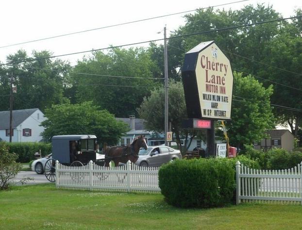 Cherry Lane Motor Inn hotel detail image 2