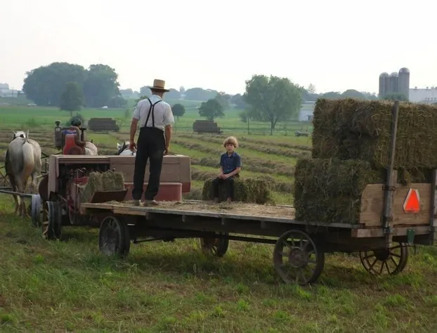 Cherry Lane Motor Inn hotel detail image 3