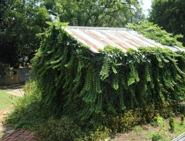Clevedale Historic Inn and Gardens hotel detail image 4