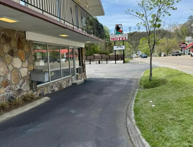 Sleepy Bear Motel hotel detail image 3