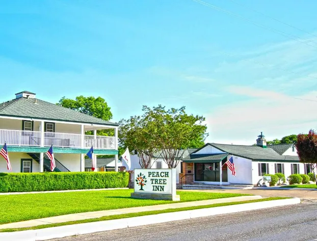 Peach Tree Inn & Suites hotel detail image 3