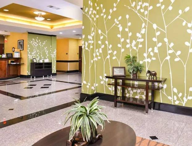 Sleep Inn & Suites Near Downtown North hotel detail image 4