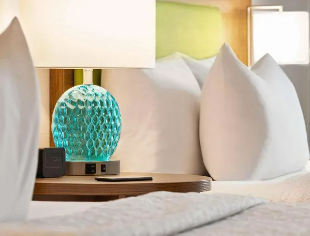 Home2 Suites by Hilton Lubbock hotel detail image 3