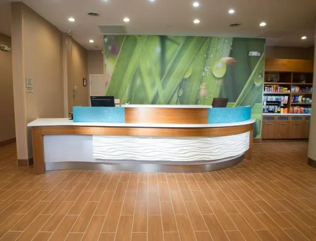 Springhill Suites Houston Westchase hotel detail image 1