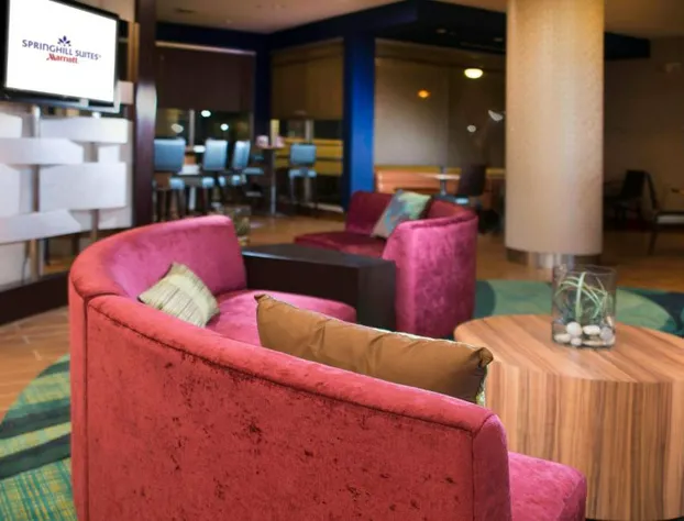 Springhill Suites Houston Westchase hotel detail image 4