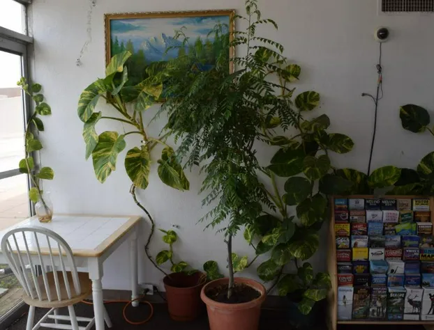 Imperial Motel hotel detail image 3