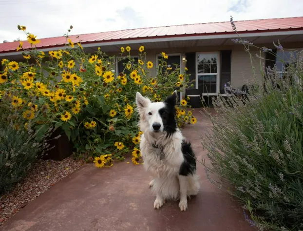 The Flagstone Boutique Inn & Suites hotel detail image 4