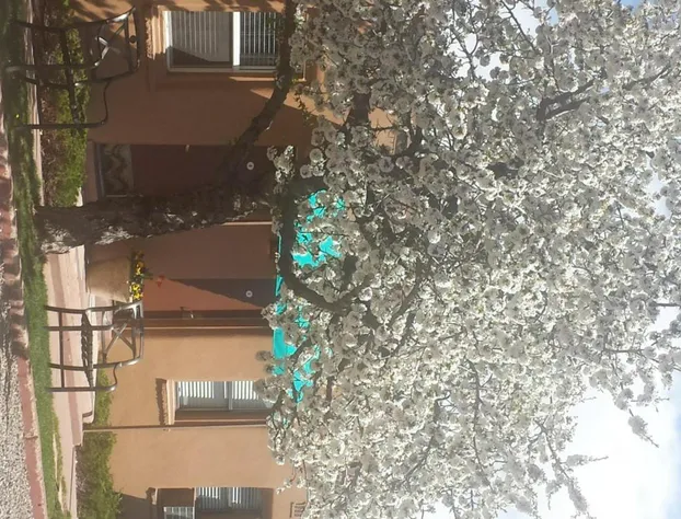 Stone Lizard Lodging hotel detail image 2