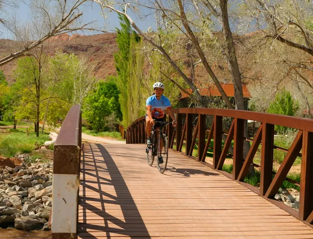 The Gonzo Inn hotel detail image 3