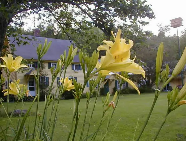 Fiddler's Green Inn hotel detail image 2