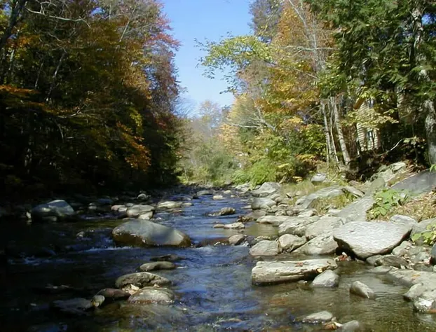 Fiddler's Green Inn hotel detail image 2