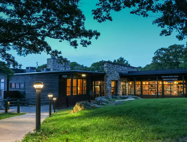 Skyland hotel detail image 2