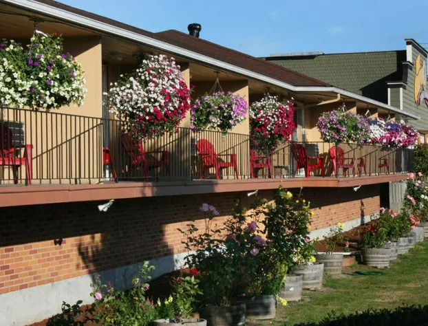 Relax Inn hotel detail image 1