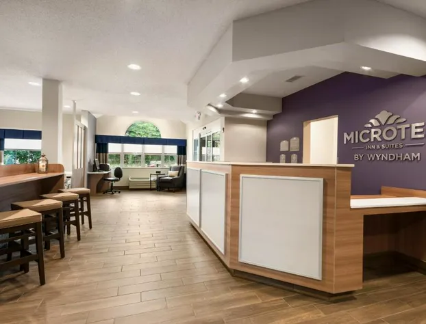 Microtel Inn & Suites By Wyndham Lynchburg hotel detail image 3