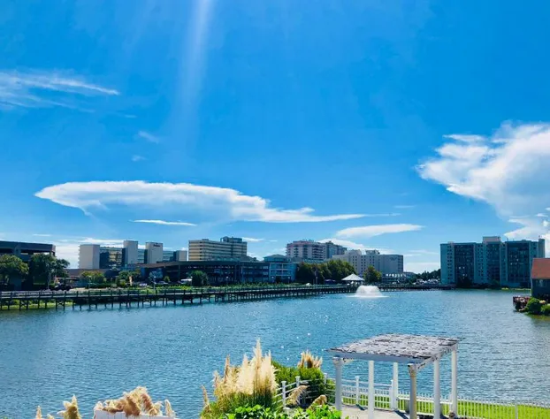 White Marlin Inn hotel detail image 3