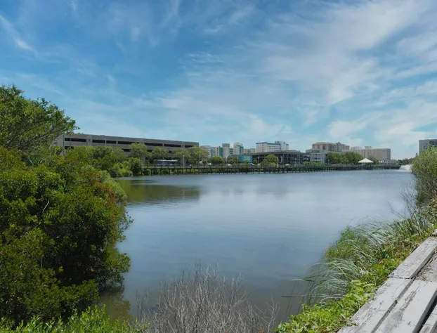 White Marlin Inn hotel detail image 3