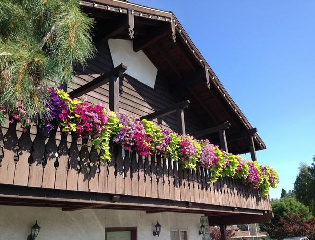 Linderhof Inn hotel detail image 1