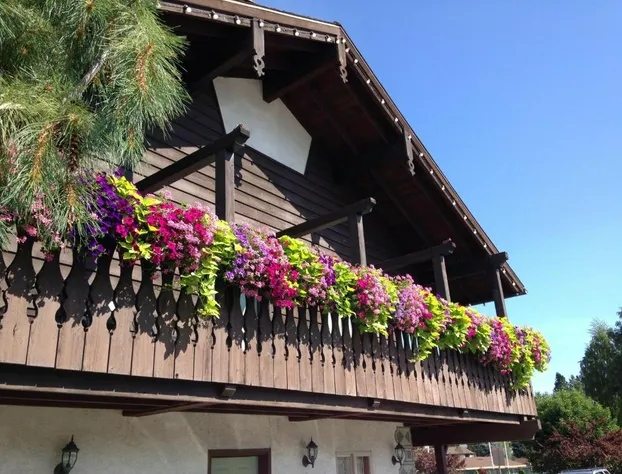 Linderhof Inn hotel detail image 2