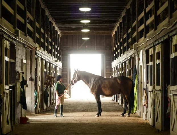 Oglebay Resort hotel detail image 1