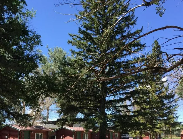 Z Bar Motel hotel detail image 2