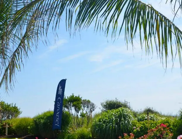 Carousel Resort Hotel & Condominiums hotel detail image 4