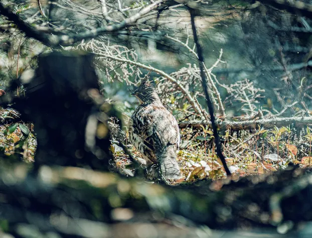 Nordet hotel detail image 4