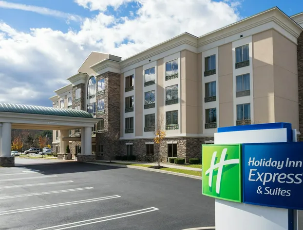 Holiday Inn Express & Suites Stroudsburg-Poconos by IHG hotel detail image 1