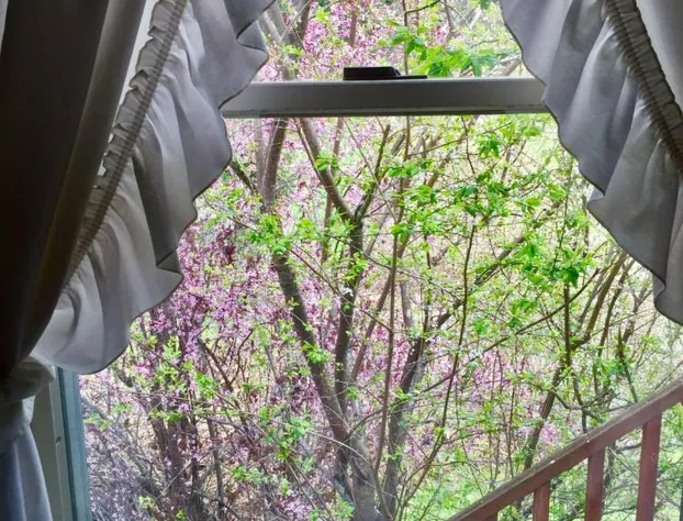 Alexander's Lodge hotel detail image 1