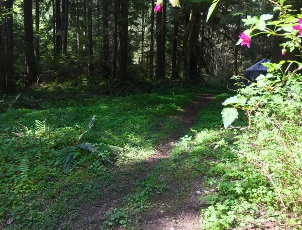 Alexander's Lodge hotel detail image 2