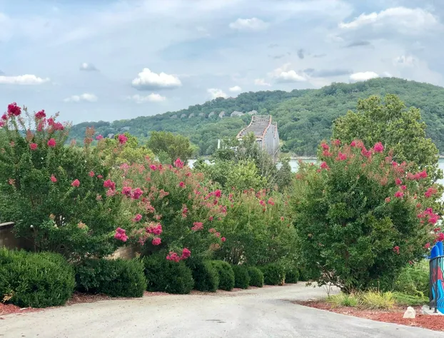 D'Monaco Luxury Resort hotel detail image 1