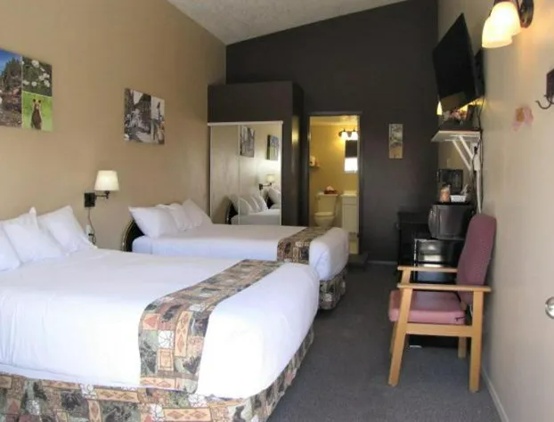 Bear Country Inn and Suites hotel detail image 1