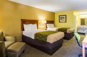 Econo Lodge Picayune hotel detail image 1