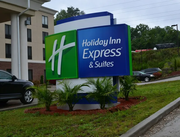Holiday Inn Express Hotel & Suites Cross Lanes by IHG hotel detail image 2