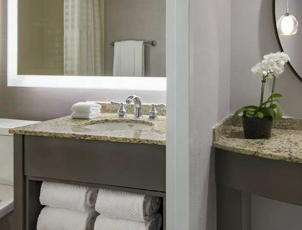 Embassy Suites Philadelphia Center City hotel detail image 3