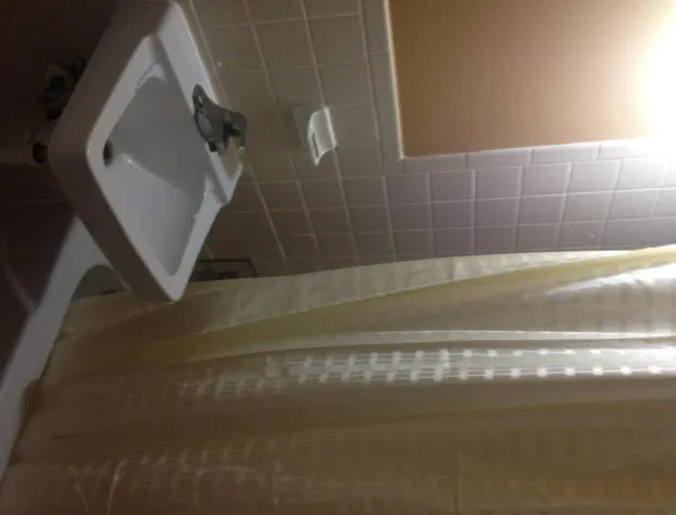 Executive Inn and Suites hotel detail image 2