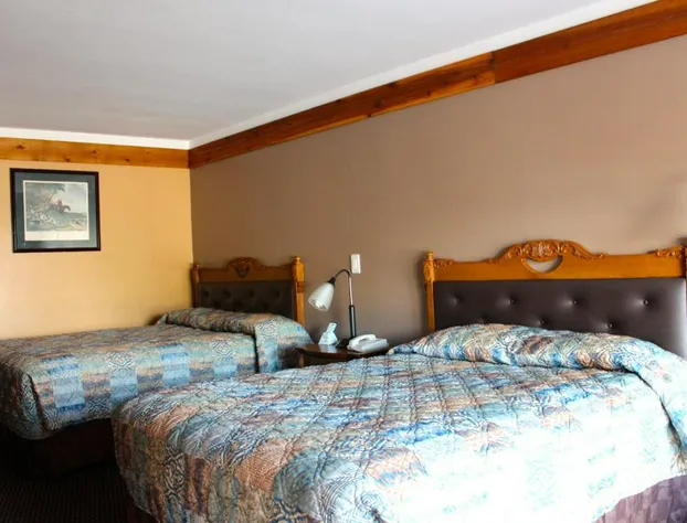 Executive Inn and Suites hotel detail image 4