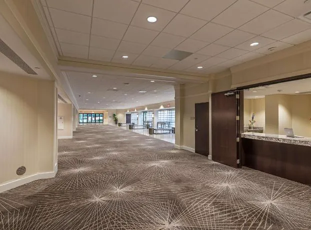 Hilton Orlando Lake Buena Vista - Disney Springs® Area hotel detail image 3