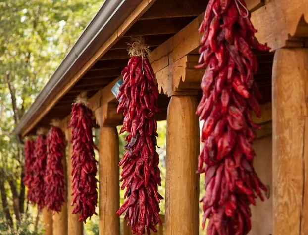 Casa Escondida Bed & Breakfast hotel detail image 2